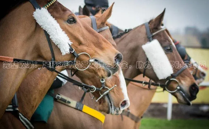 意昂体育招商赛富乐斯