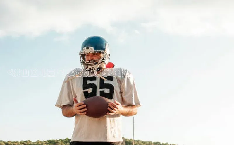 意昂2登录入口百度网盘