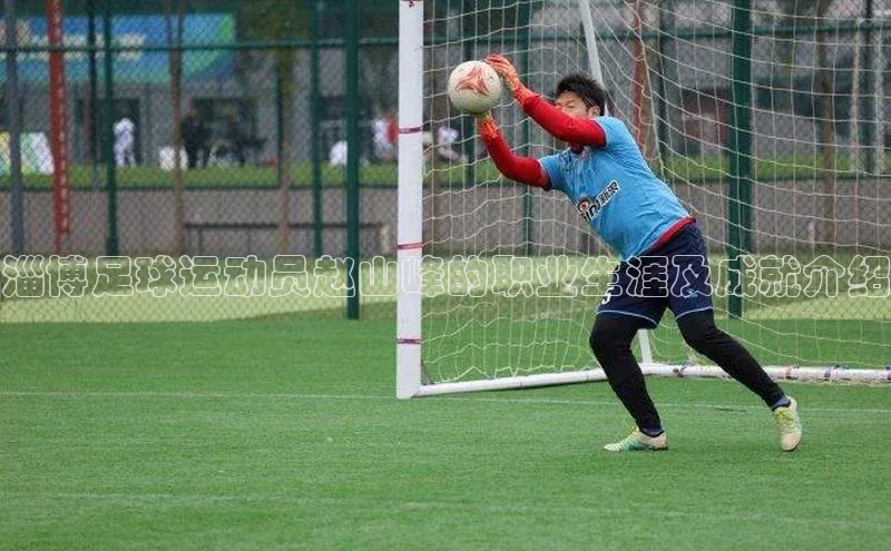 意昂体育平台长176五827百度翻译App