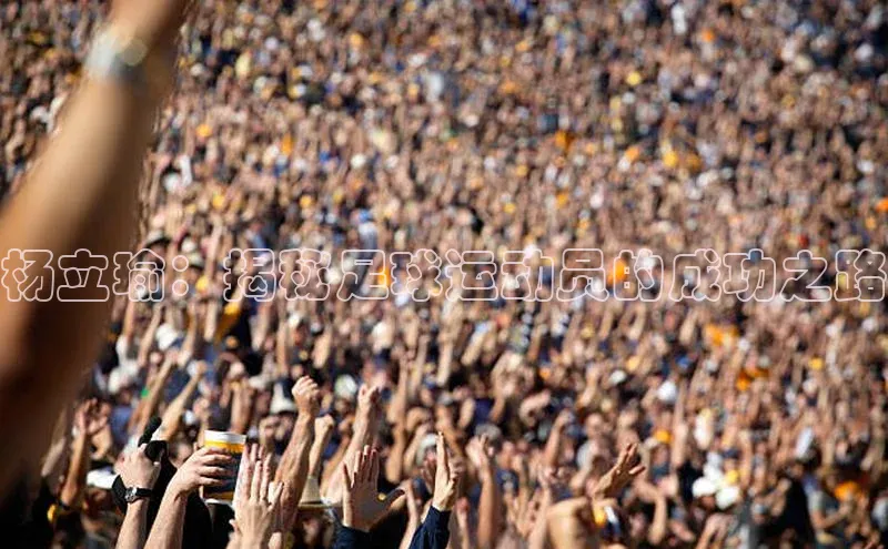 意昂2登录入口百度网盘