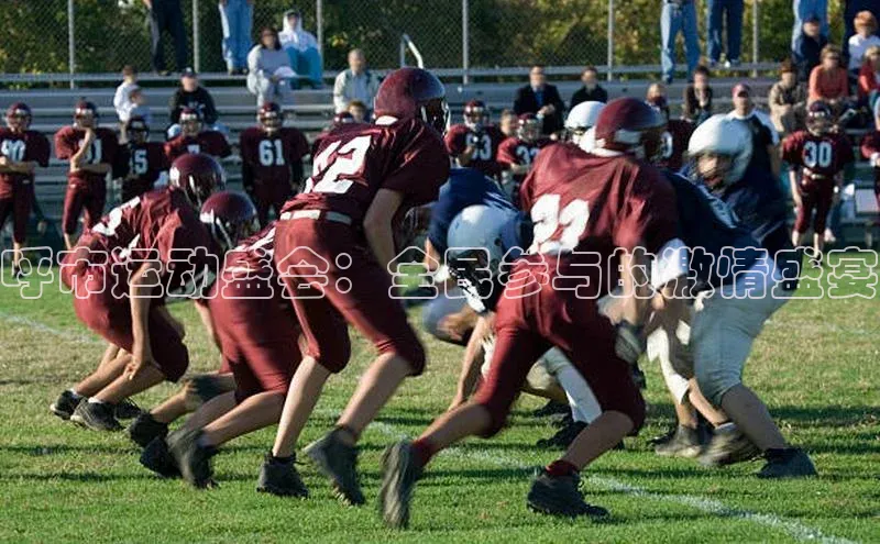 意昂体育app网页版登录入口